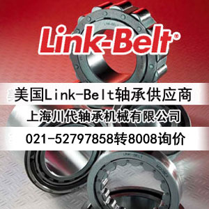 LINK-BELT品牌专业供应商
